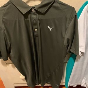 Puma golf